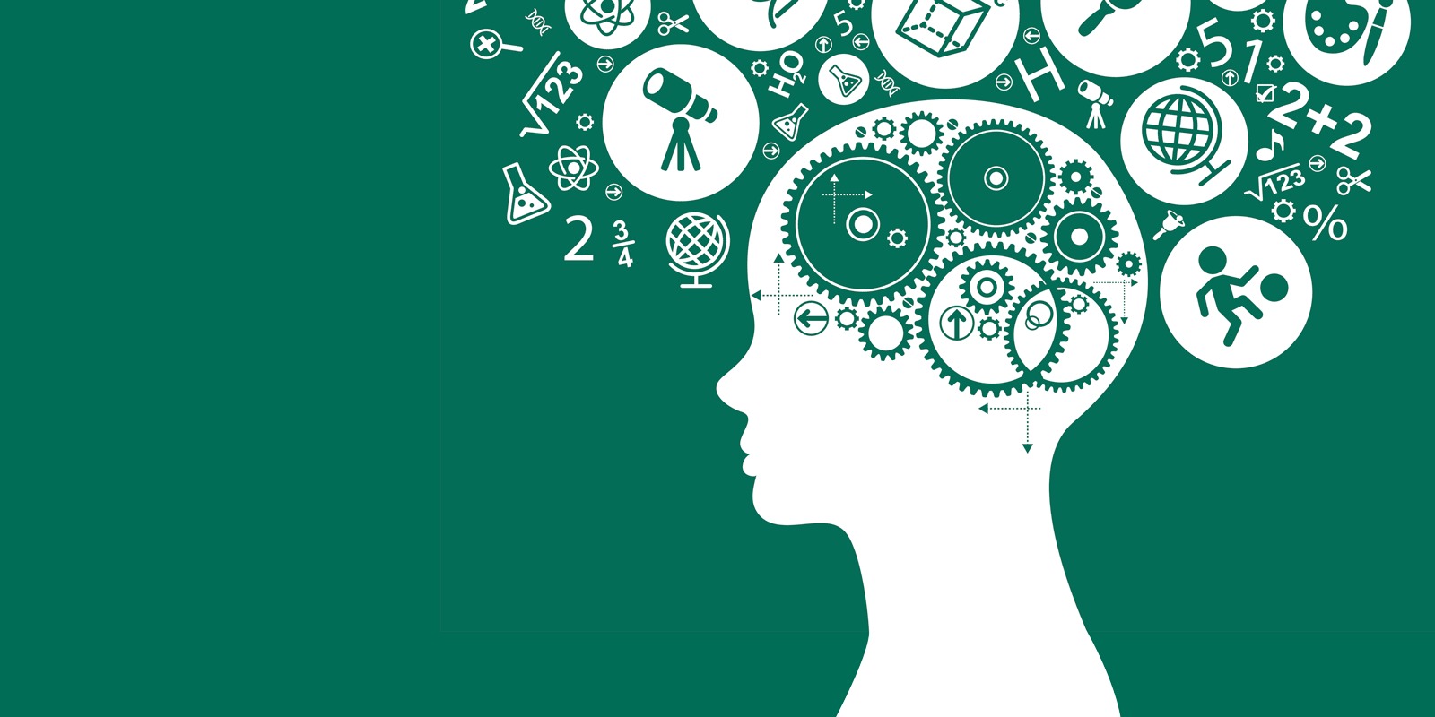 B.Sc.(Hons.) Psychology